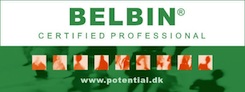 Belbin Certificeret Konsulent